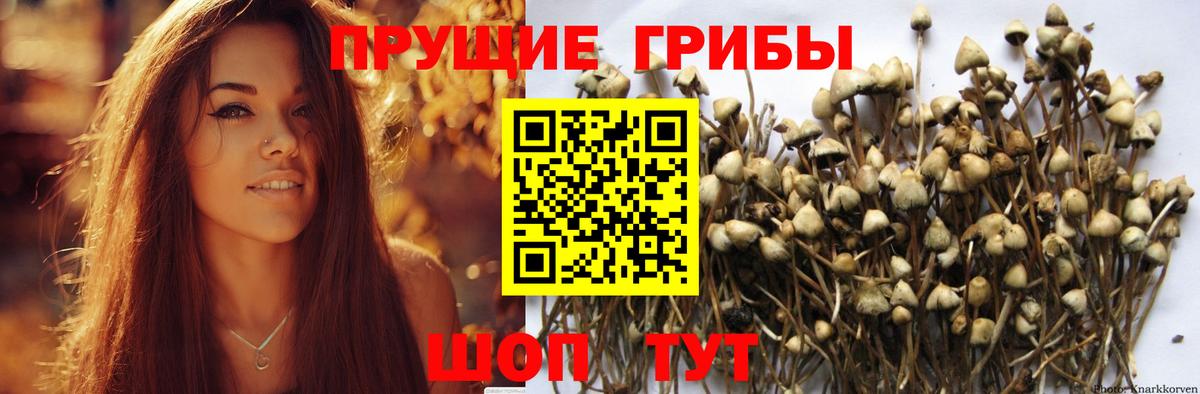 Галлюциногенные грибы Magic Shrooms Бердск